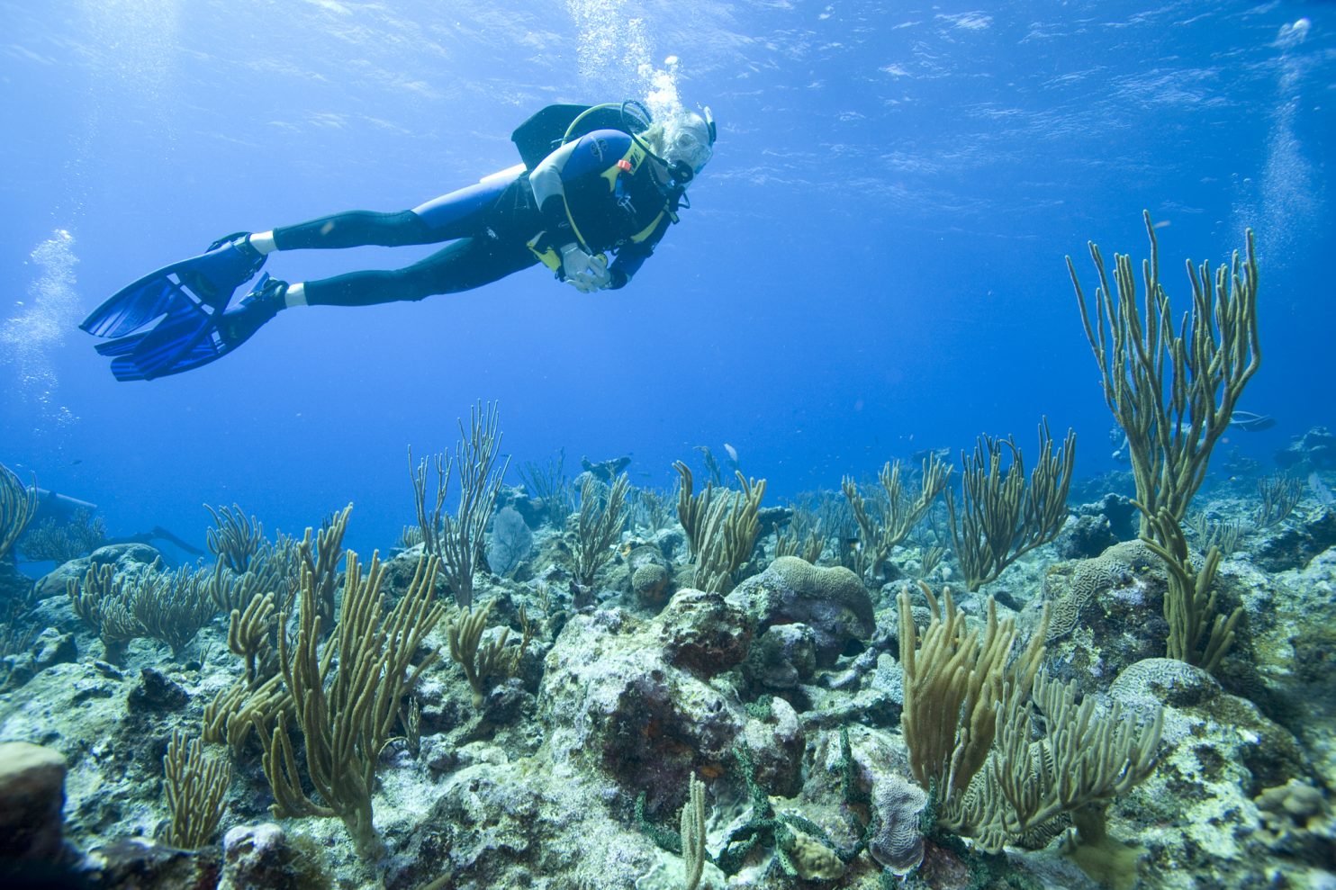 Combinaisons de plongée Aqualung