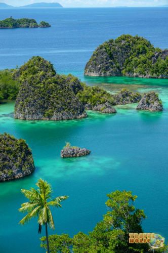 Ile de Fam, Raja Ampat, Indonésie