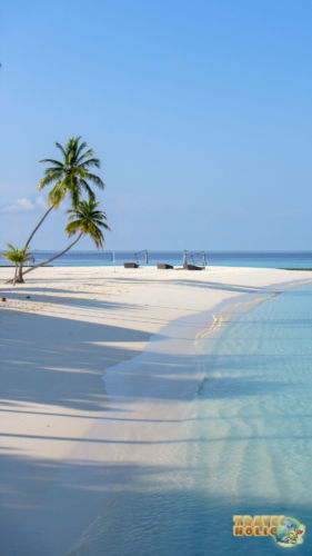 Sable blanc et palmiers, Constance Halaveli, Maldives