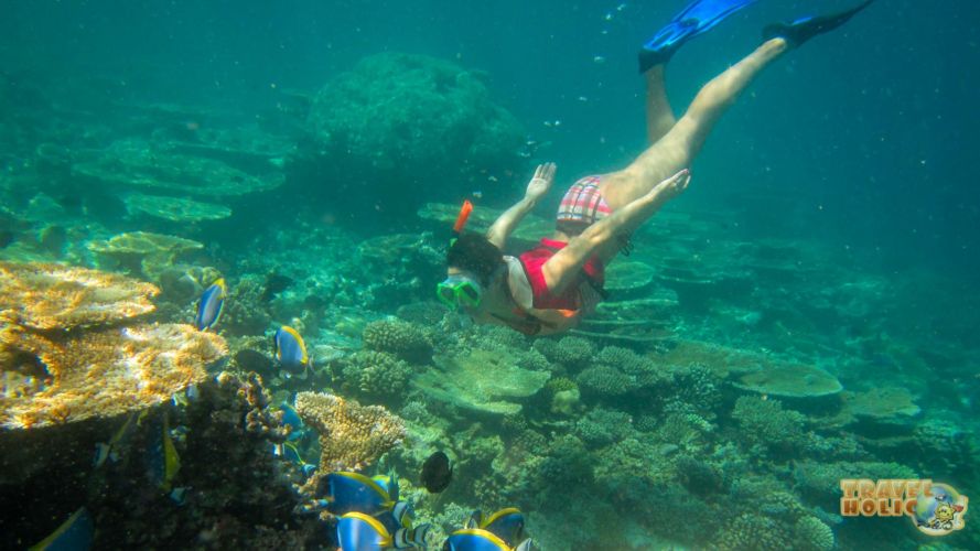 Sortie snorkeling avec le Constance Halaveli